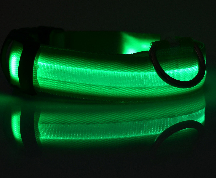 LED Dog Collar – Night Safety Collar, USB Rechargeable & Battery, Waterproof & Adjustable