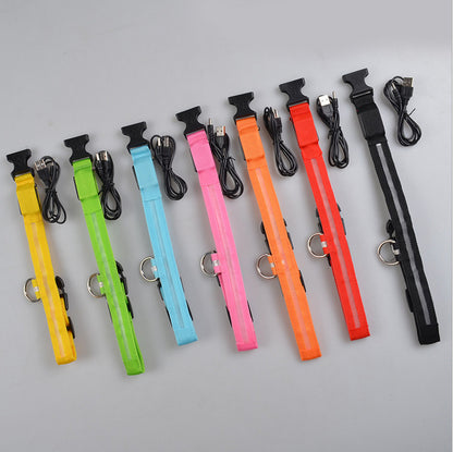 LED Dog Collar – Night Safety Collar, USB Rechargeable & Battery, Waterproof & Adjustable