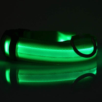 LED Dog Collar – Night Safety Collar, USB Rechargeable & Battery, Waterproof & Adjustable