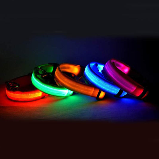 LED Dog Collar – Night Safety Collar, USB Rechargeable & Battery, Waterproof & Adjustable