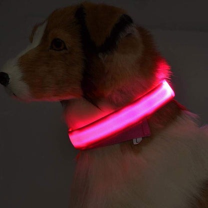 LED Dog Collar – Night Safety Collar, USB Rechargeable & Battery, Waterproof & Adjustable