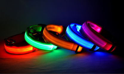LED Dog Collar – Night Safety Collar, USB Rechargeable & Battery, Waterproof & Adjustable
