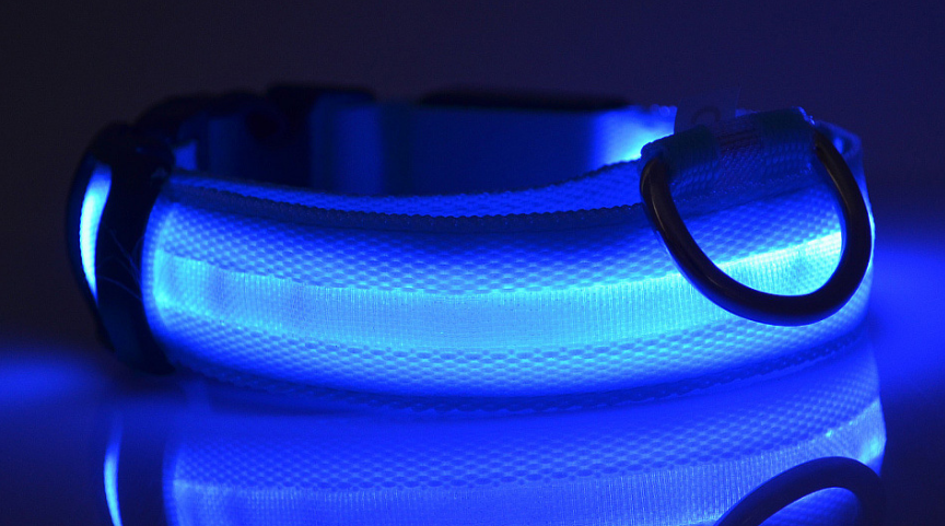 LED Dog Collar – Night Safety Collar, USB Rechargeable & Battery, Waterproof & Adjustable